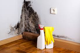 Best Dehumidification Services  in Moorefield, WV